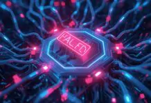 Saga EVM chain paused following $7M smart contract exploit