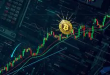 Meme coin market flashes bottoming signal, per Santiment