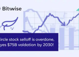 Bitwise says Circle stock selloff is overdone, eyes $75B valuation by 2030