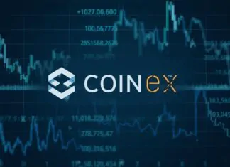 CoinEx introduces high yield dual investment amid volatile and sideways crypto markets