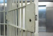 The judiciary reveals new statistics on the general amnesty and the number of those released. The judiciary reveals new statistics on the general amnesty and the number of those released.