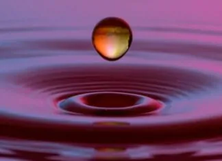 Contract Awarded for Rainwater Harvesting System