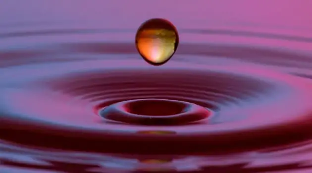 Contract Awarded for Rainwater Harvesting System