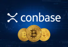 Tool It Gives Bitcoin and Gold