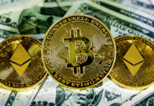Wells Fargo’s Q1 filing shows bigger Ether ETF exposure